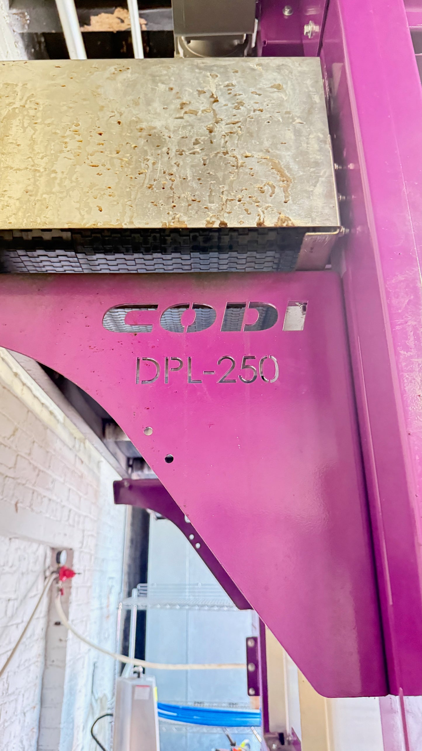 (Reduced!) Automatic CODI DPL-250 Canning Line Depalletizer